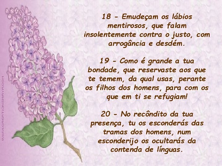 18 - Emudeçam os lábios mentirosos, que falam insolentemente contra o justo, com arrogância