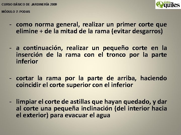 CURSO BÁSICO DE JARDINERÍA 2009 MÓDULO 7: PODAS - como norma general, realizar un