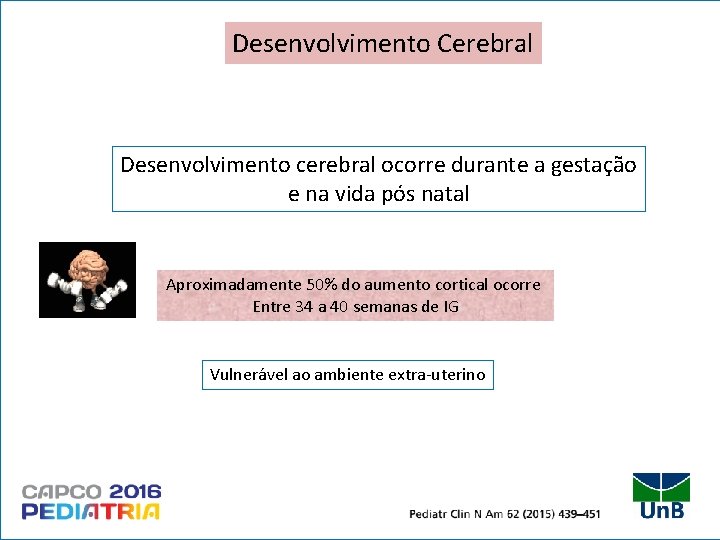 Desenvolvimento Cerebral Desenvolvimento cerebral ocorre durante a gestação e na vida pós natal Aproximadamente