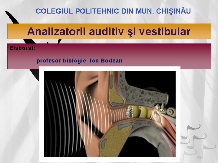 COLEGIUL POLITEHNIC DIN MUN. CHIŞINĂU Analizatorii auditiv şi vestibular Elaborat: profesor biologie Ion Bodean