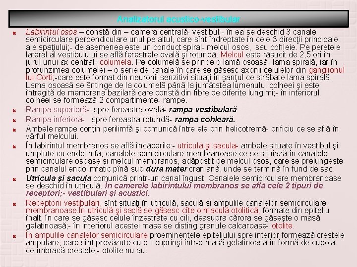 Analizatorul acustico-vestibular Labirintul osos – constă din – camera centrală- vestibul; - în ea