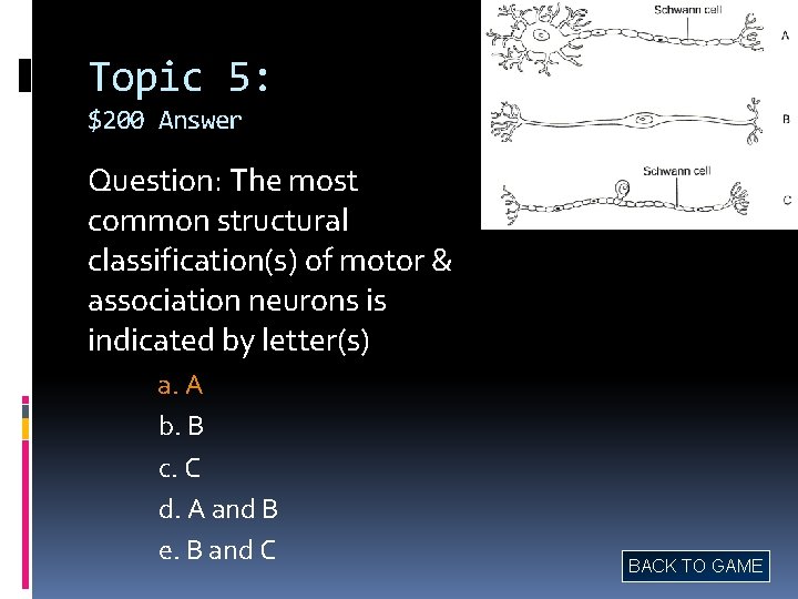 Topic 5: $200 Answer Question: The most common structural classification(s) of motor & association