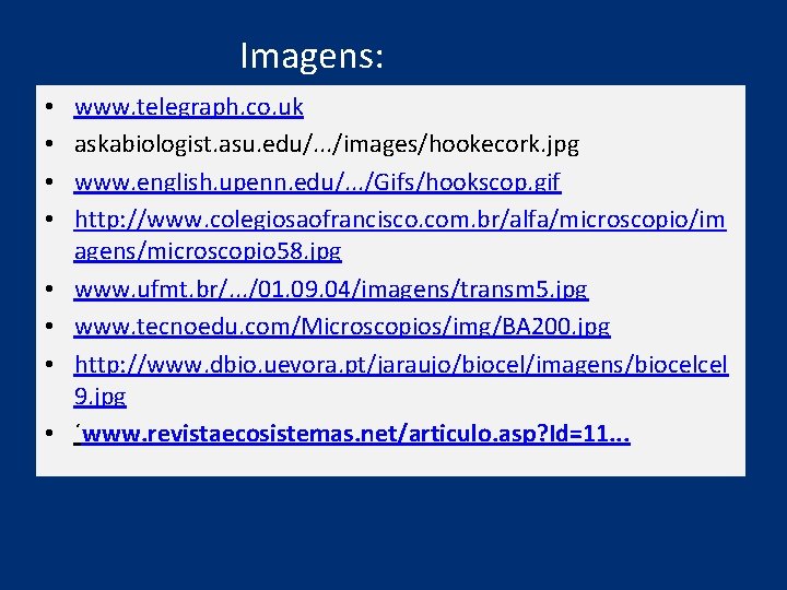 Imagens: • • www. telegraph. co. uk askabiologist. asu. edu/. . . /images/hookecork. jpg