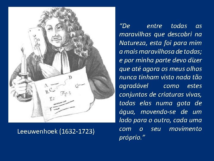 Leeuwenhoek (1632 -1723) “De entre todas as maravilhas que descobri na Natureza, esta foi
