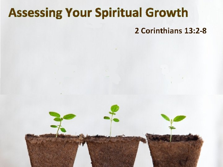 Assessing Your Spiritual Growth 2 Corinthians 13: 2 -8 