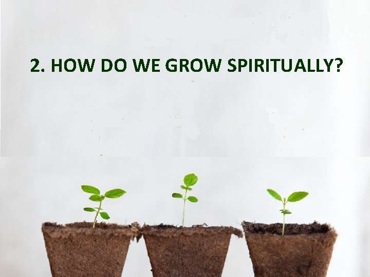 2. HOW DO WE GROW SPIRITUALLY? 