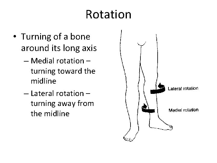 Rotation • Turning of a bone around its long axis – Medial rotation –