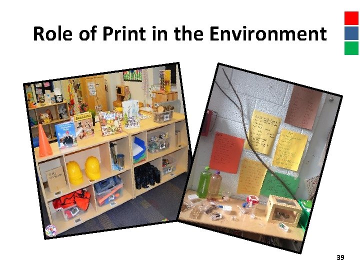 Role of Print in the Environment 39 