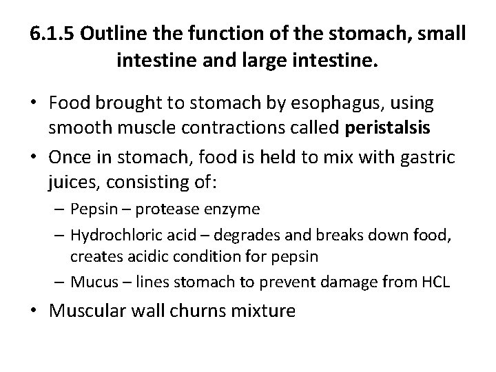 6. 1. 5 Outline the function of the stomach, small intestine and large intestine.