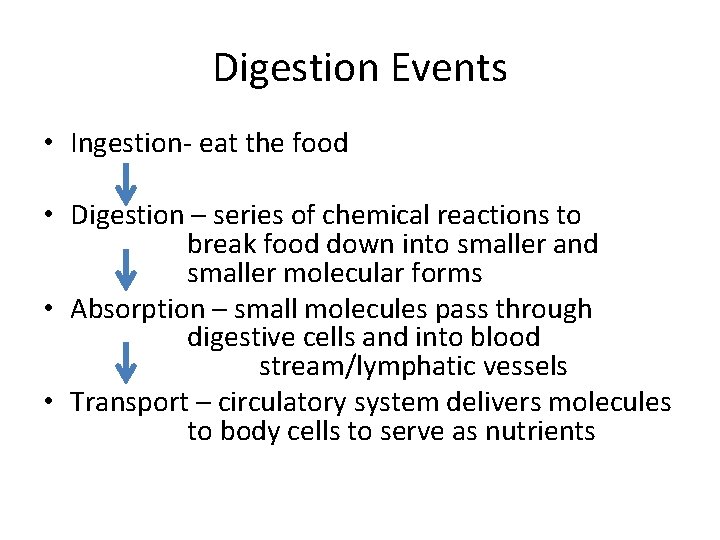 Digestion Events • Ingestion- eat the food • Digestion – series of chemical reactions