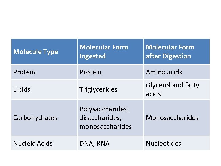 Molecule Type Molecular Form Ingested Molecular Form after Digestion Protein Amino acids Lipids Triglycerides