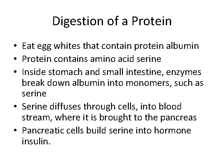 Digestion of a Protein • Eat egg whites that contain protein albumin • Protein