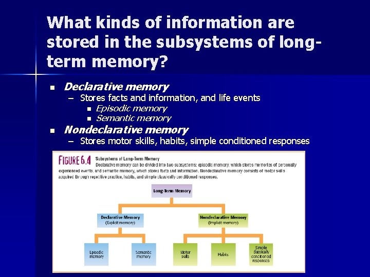 What kinds of information are stored in the subsystems of longterm memory? n Declarative