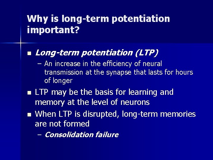 Why is long-term potentiation important? n Long-term potentiation (LTP) – An increase in the