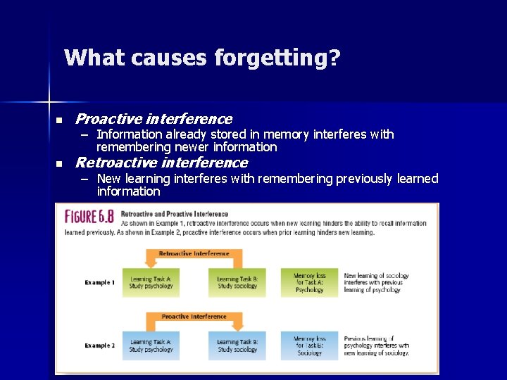 What causes forgetting? n Proactive interference n Retroactive interference – Information already stored in