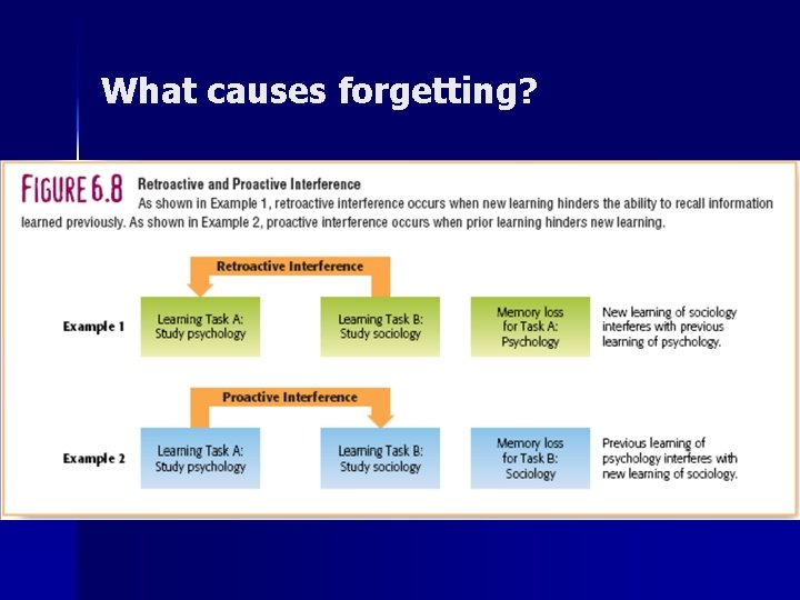 What causes forgetting? n Proactive interference n Retroactive interference – Information already stored in