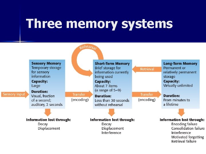 Three memory systems 