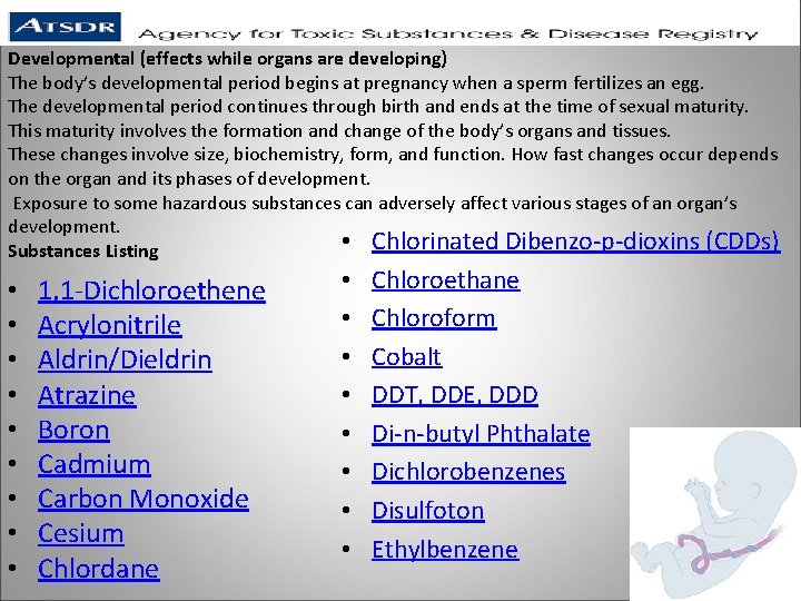 Developmental (effects while organs are developing) The body’s developmental period begins at pregnancy when