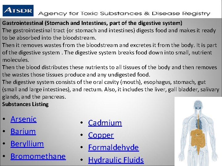 Gastrointestinal (Stomach and Intestines, part of the digestive system) The gastrointestinal tract (or stomach