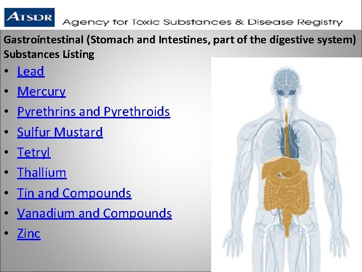 Gastrointestinal (Stomach and Intestines, part of the digestive system) Substances Listing • • •