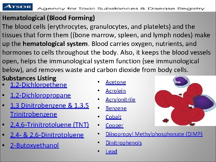 Hematological (Blood Forming) The blood cells (erythrocytes, granulocytes, and platelets) and the tissues that