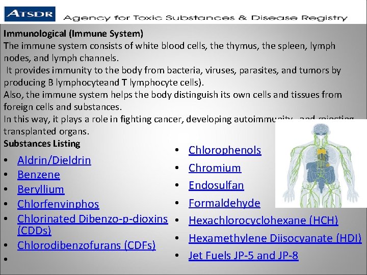 Immunological (Immune System) The immune system consists of white blood cells, the thymus, the