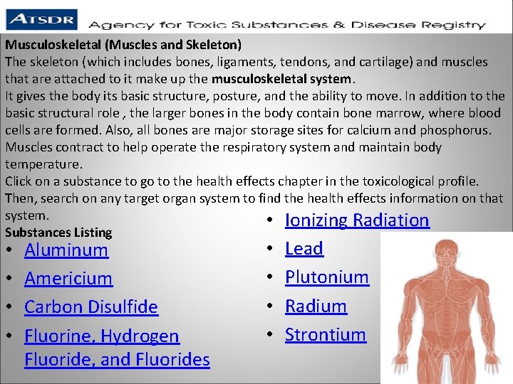 Musculoskeletal (Muscles and Skeleton) The skeleton (which includes bones, ligaments, tendons, and cartilage) and