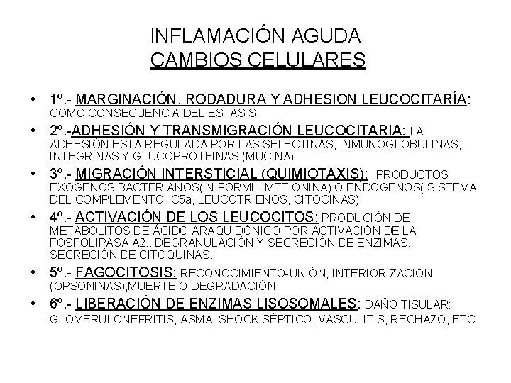 INFLAMACIÓN AGUDA CAMBIOS CELULARES • 1º. - MARGINACIÓN, RODADURA Y ADHESION LEUCOCITARÍA: COMO CONSECUENCIA