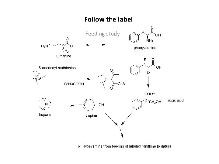 Follow the label Feeding study 