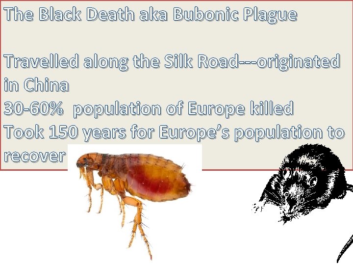 The Black Death aka Bubonic Plague Travelled along the Silk Road---originated in China 30