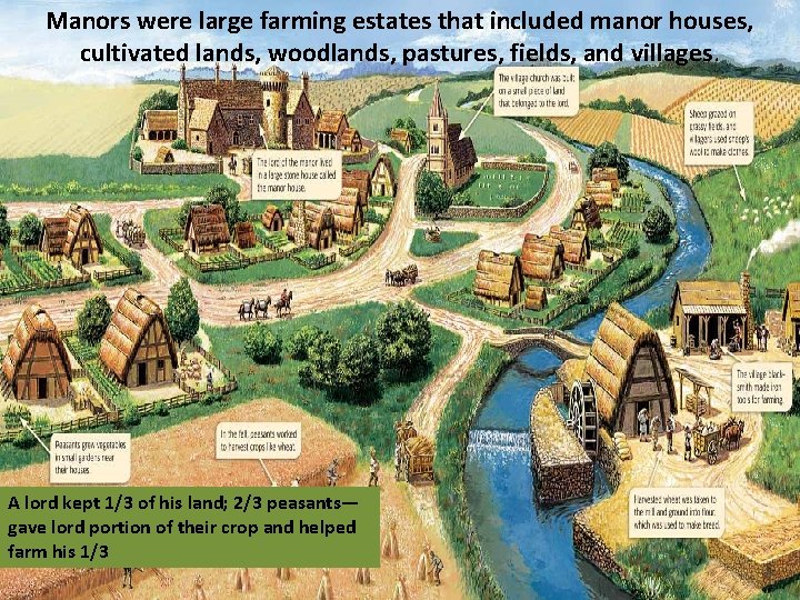 Manors were large farming estates that included manor houses, cultivated lands, woodlands, pastures, fields,