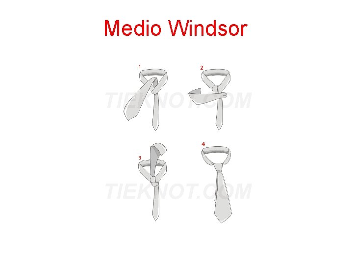 Medio Windsor Medio Windsor