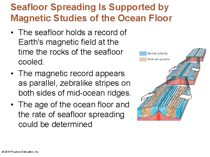 Seafloor Spreading Is Supported by Magnetic Studies of the Ocean Floor • The seafloor
