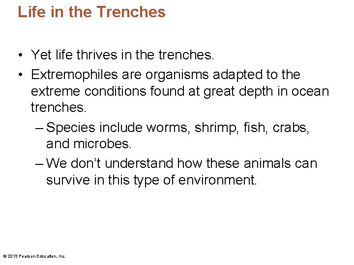 Life in the Trenches • Yet life thrives in the trenches. • Extremophiles are