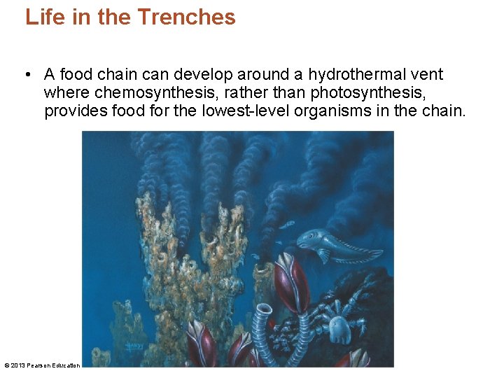 Life in the Trenches • A food chain can develop around a hydrothermal vent