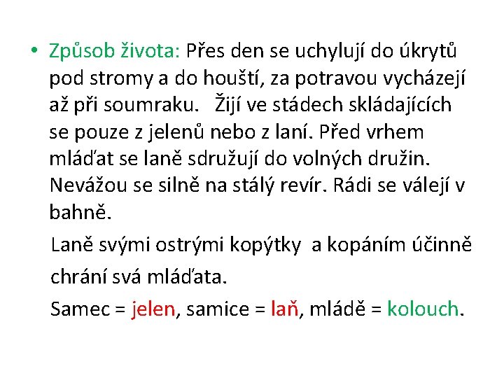  • Způsob života: Přes den se uchylují do úkrytů pod stromy a do