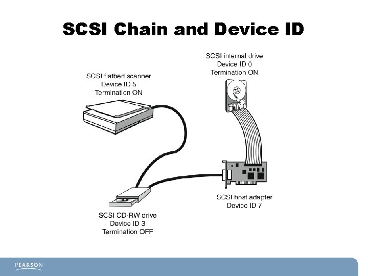 SCSI Chain and Device ID 