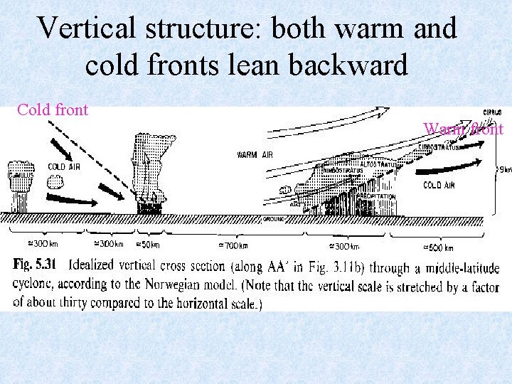 Vertical structure: both warm and cold fronts lean backward Cold front Warm front 