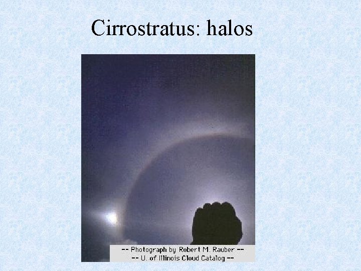 Cirrostratus: halos 