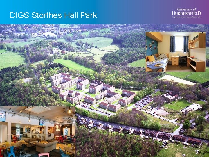 DIGS Storthes Hall Park DIGS Storthes Hall 