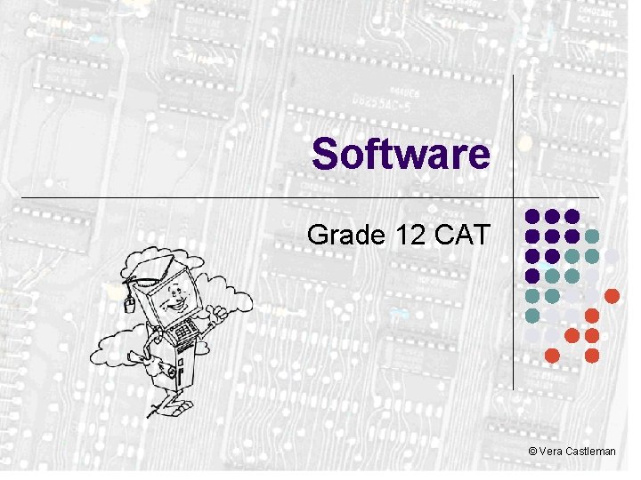 Software Grade 12 CAT © Vera Castleman 