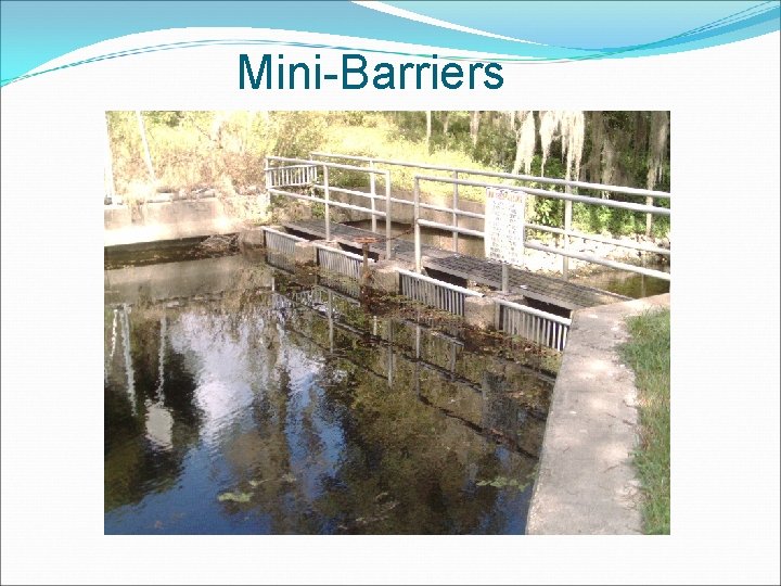 Mini-Barriers 