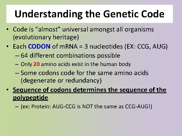Understanding the Genetic Code • Code is “almost” universal amongst all organisms (evolutionary heritage)