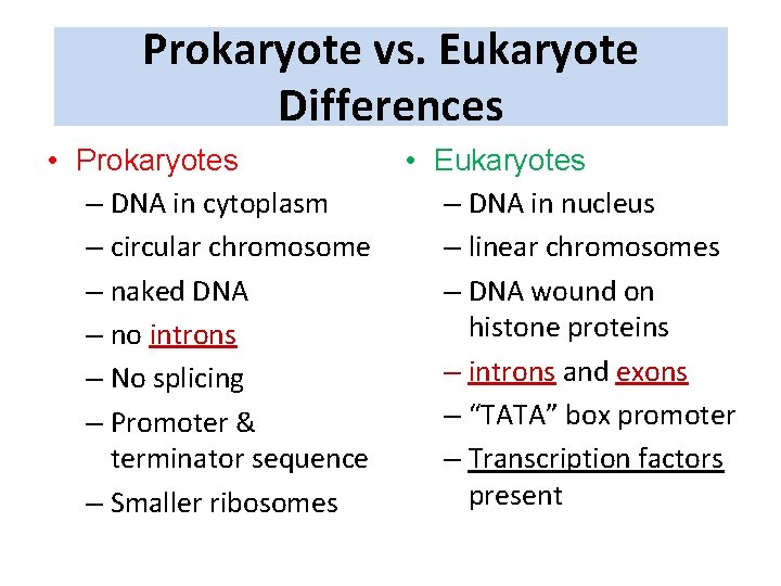 Prokaryote vs. Eukaryote Differences • Prokaryotes – DNA in cytoplasm – circular chromosome –