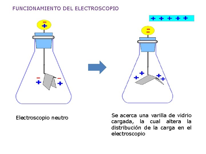 FUNCIONAMIENTO DEL ELECTROSCOPIO Electroscopio neutro Se acerca una varilla de vidrio cargada, la cual