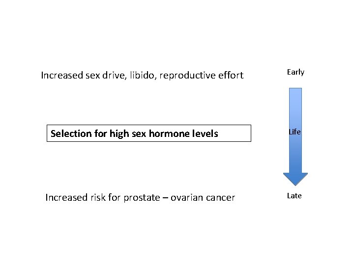 Increased sex drive, libido, reproductive effort Selection for high sex hormone levels Increased risk