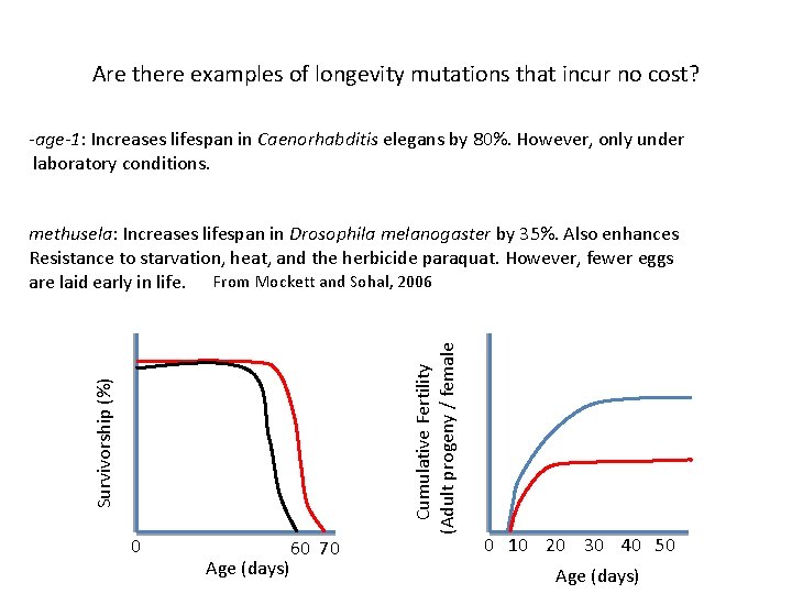 Are there examples of longevity mutations that incur no cost? -age-1: Increases lifespan in