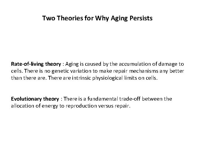 Two Theories for Why Aging Persists Rate-of-living theory : Aging is caused by the