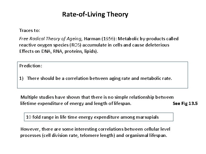 Rate-of-Living Theory Traces to: Free Radical Theory of Ageing, Harman (1956): Metabolic by-products called