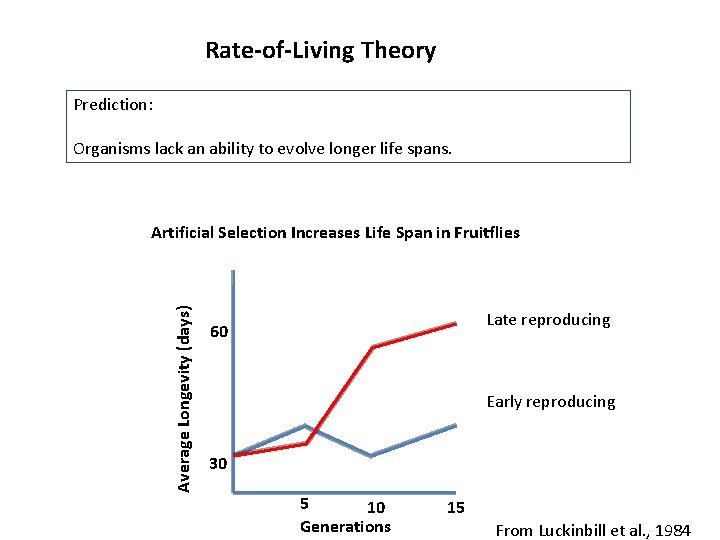 Rate-of-Living Theory Prediction: Organisms lack an ability to evolve longer life spans. Average Longevity